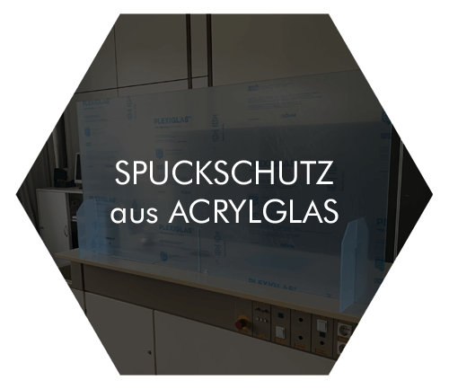 Leistungen Spuckschutz
